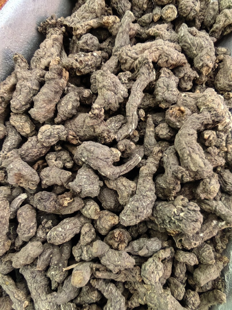 天葵子 千年老鼠屎 紫背 天奎子 天葵根 中药材天葵子 500克/份