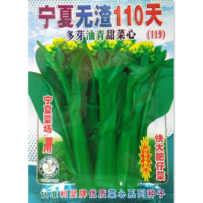 批发宁夏无渣110天油绿菜心种子(25克)蔬菜种子粗苔圆叶甜菜心