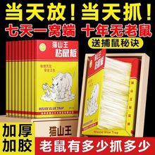 老鼠贴超强力粘鼠板抓大老鼠夹扑捉灭鼠胶沾正品家用捕鼠神器