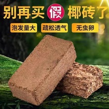 椰砖营养土批发养花多肉绿植专用土种菜土厂家直销通用型椰糠椰土