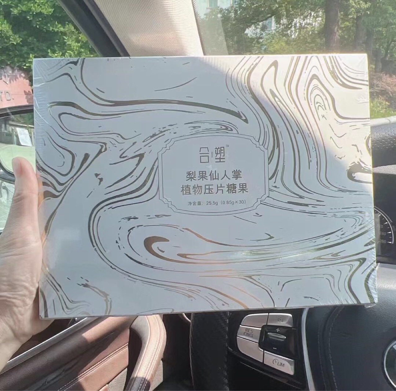 合塑梨果仙人掌植物压片糖果30粒-阿里巴巴