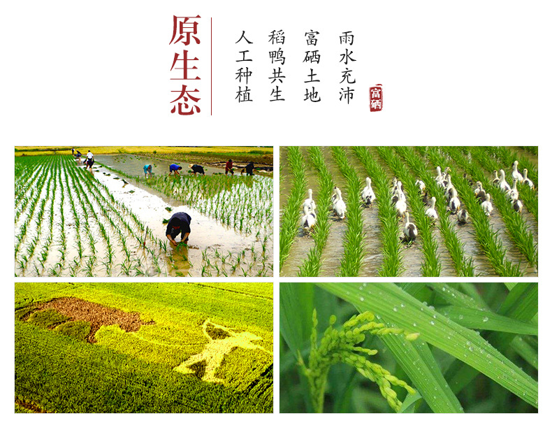 大米批发新米春节年货富硒大米5斤装石台珍珠富硒米2.5kg一件代发