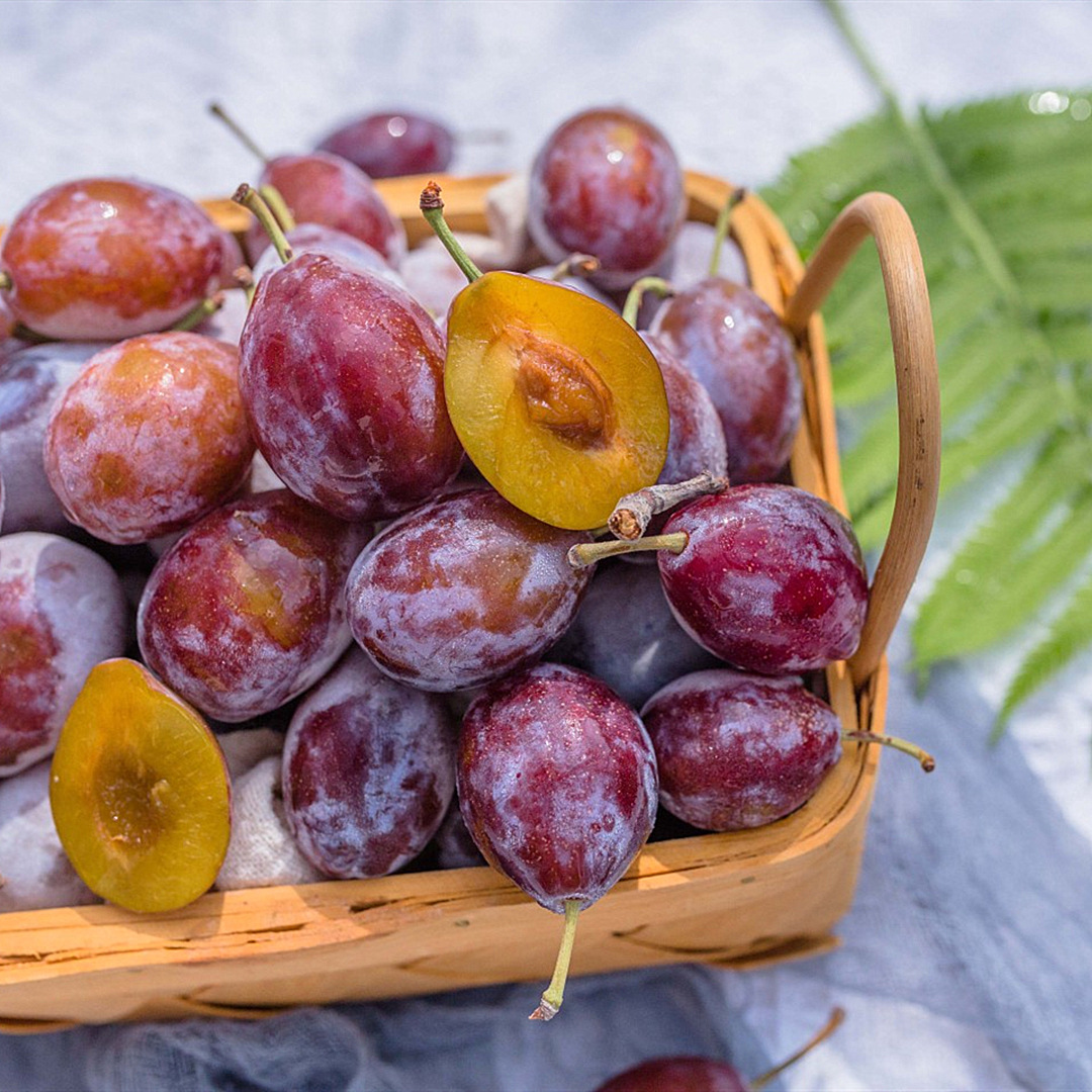 【顺丰快递】新疆喀什法兰西西梅礼盒4斤 新鲜水果