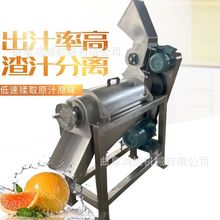 0.5T青椒蔬菜榨汁机 榴莲山楂去核榨汁机 榨汁分离设备