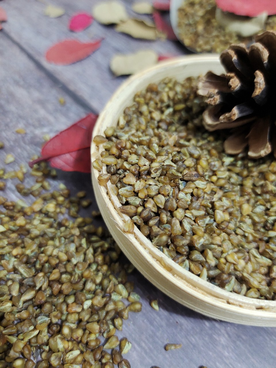 云南高山黑苦荞生苦荞茶胚芽茶正品乔荞麦茶苦芥茶500g代发包邮