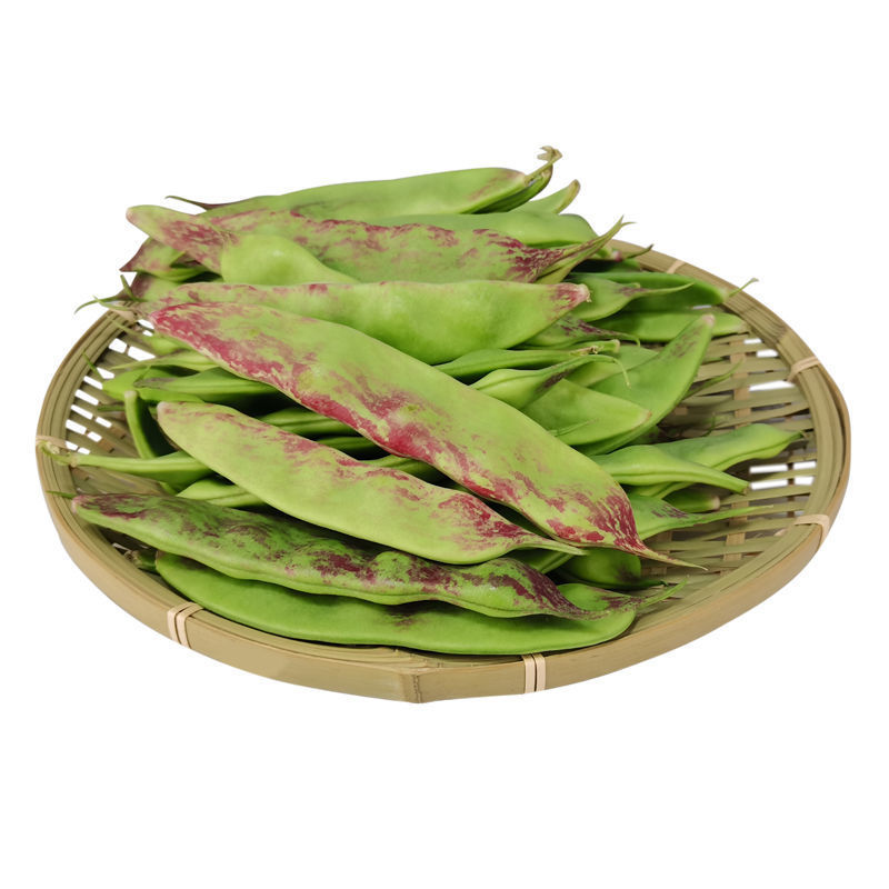 5斤包邮东北一点红油豆角九月青当季新鲜蔬菜现摘面豆角开锅烂