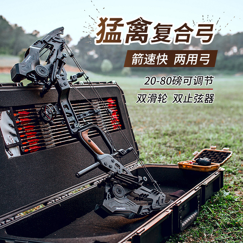 猛禽复合两用弓 户外体育竞技比赛弓箭 射箭大威力合金射箭钢珠弓