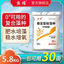 硅藻种水产养殖小球藻肥水膏鱼虾塘低温肥水培藻活硅藻硅藻藻种