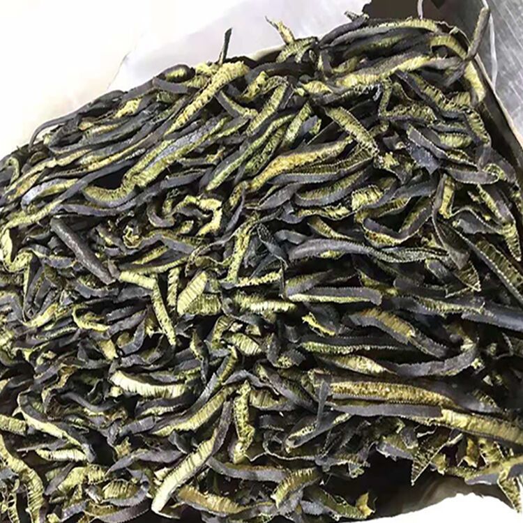 海茸 海笋 一手货源 南极海茸,海茸丝 欢迎来电咨