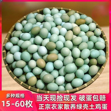 绿壳山鸡蛋60枚新鲜初生乌鸡蛋40枚农家散养360枚土鸡蛋15枚