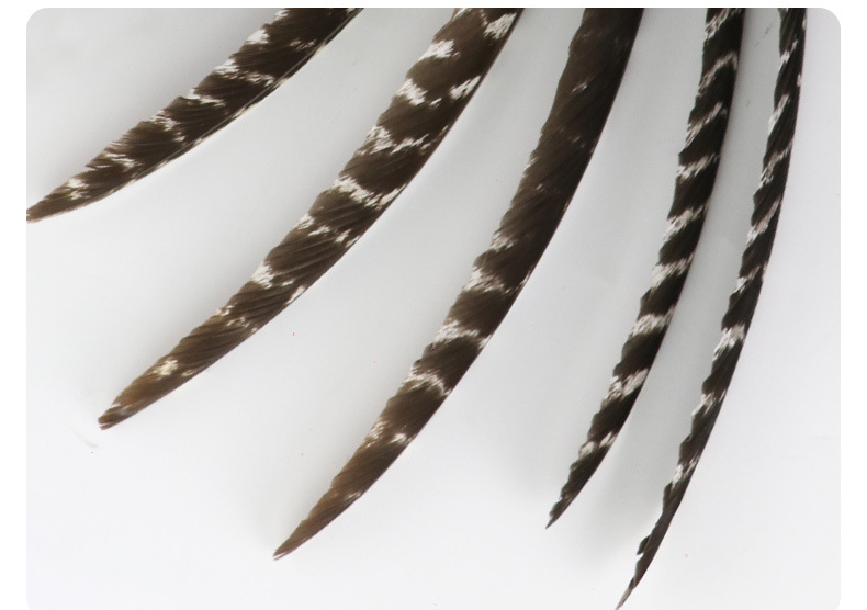 羽毛厂价直销23-30厘米天然花火鸡刀翎毛弓箭 用羽毛