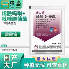 真格生物放大镜 多力润18.7%烯酰吗啉吡唑醚菌酯黄瓜霜霉病杀菌剂