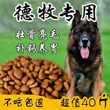 东德牧羊犬幼犬东德牧羊犬活体纯黑东德狼灰东德幼犬太极东德狗食