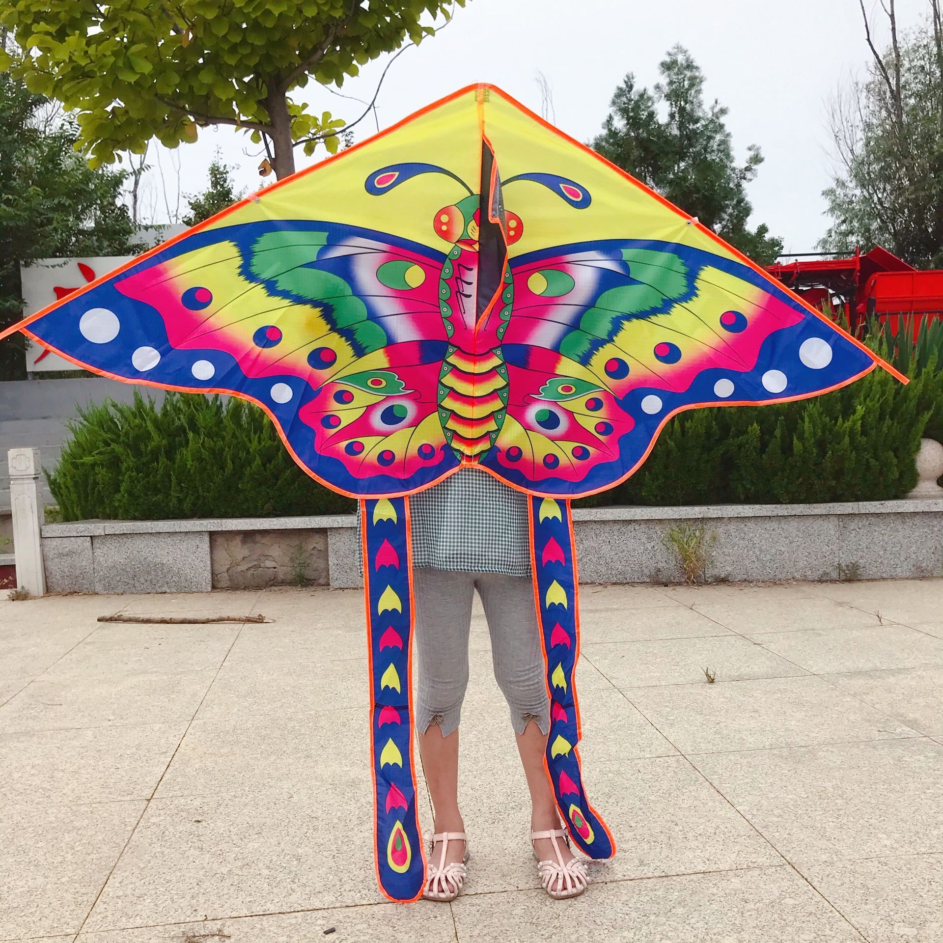 潍坊金鹏风筝格子亮布蝴蝶风筝尺寸大全儿童卡通风筝2022新款包邮