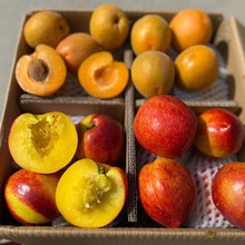 【桃杏双拼】陕西黄肉油桃+大黄杏组合非水蜜桃4新鲜水果一件代发
