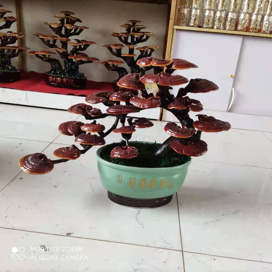 灵芝盆景-艺术灵芝盆景-粘接造型灵芝盆景-树脂粘接艺术灵芝盆景