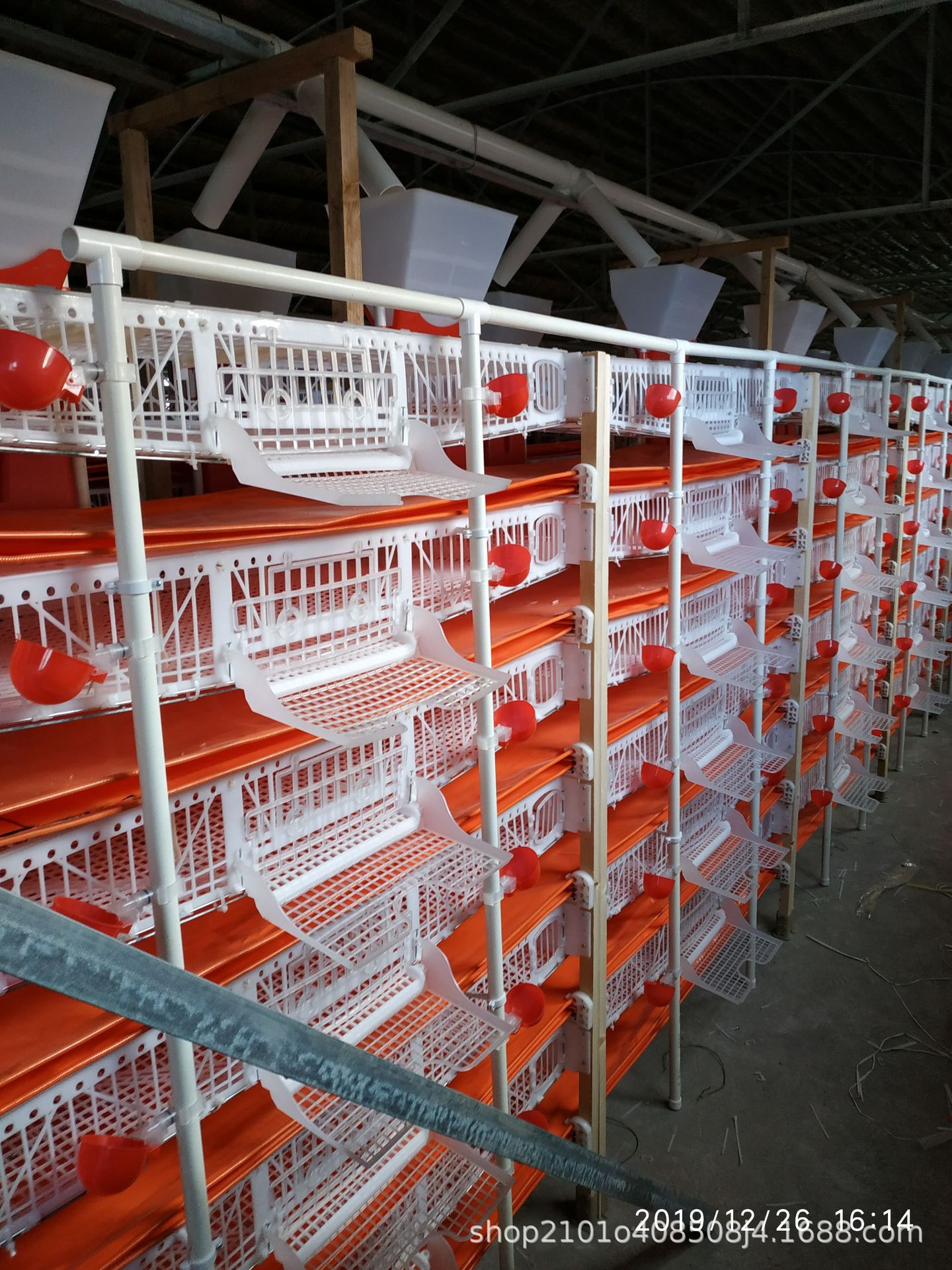 厂家直供塑料鹌鹑笼,鹌鹑蛋破损率低,提高效益自动化养殖