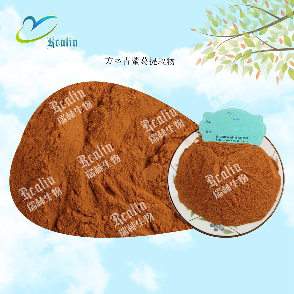 方茎青紫葛提取物 方茎青紫葛粉 30:1萃取 源头现货供应
