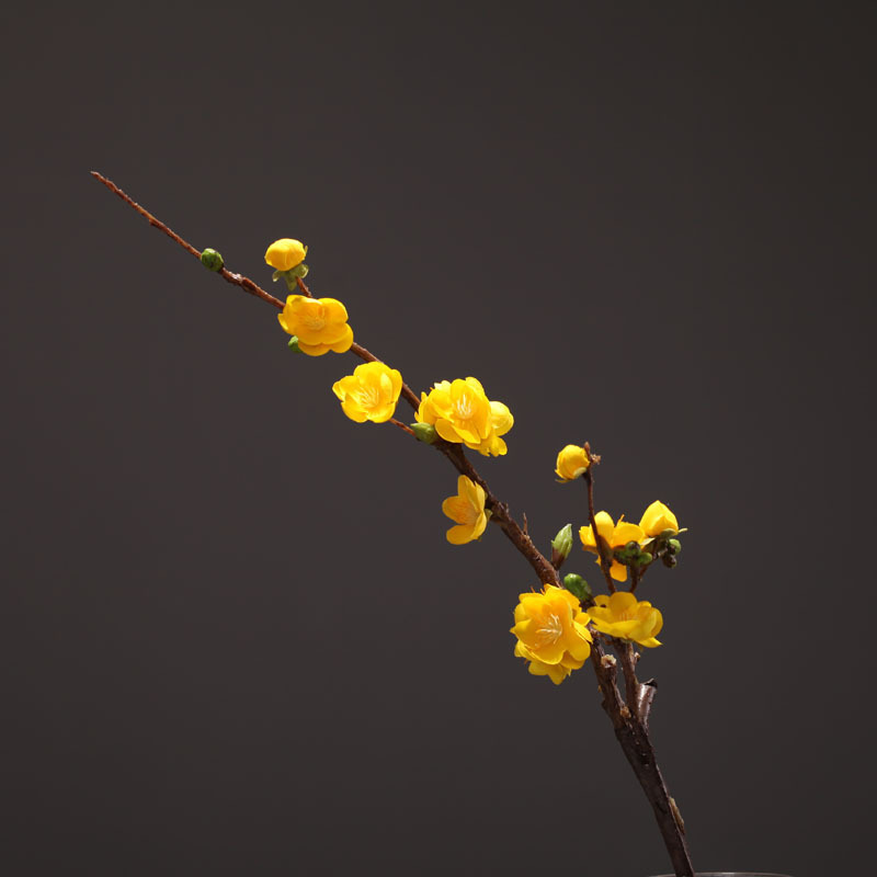 春三月舞蹈花枝道具高端腊梅仿真花干花假花插花花束梅花枝条摆设