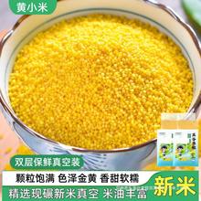 黄小米新米5斤真空装新鲜农家优质月子米脂杂粮粗粮糯小米粥养胃