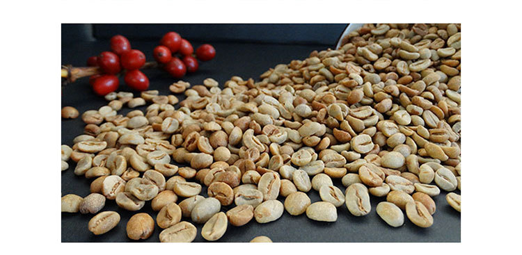 云南酒香发酵日晒咖啡豆 阿拉比卡生豆云 南小粒咖啡高晟庄园风味