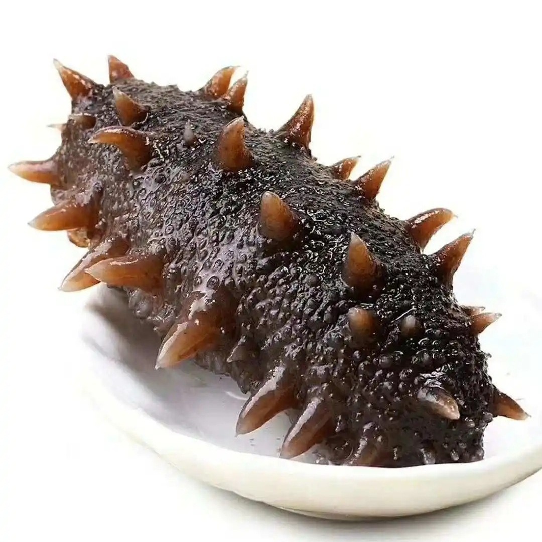 大连即食海参鲜蒸海参冷蒸海参-阿里巴巴