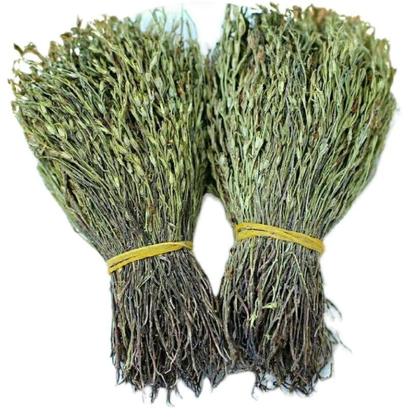 野采独脚金疳积草小孩儿广西独角金新货新鲜晒干疳积草包邮-阿里巴巴