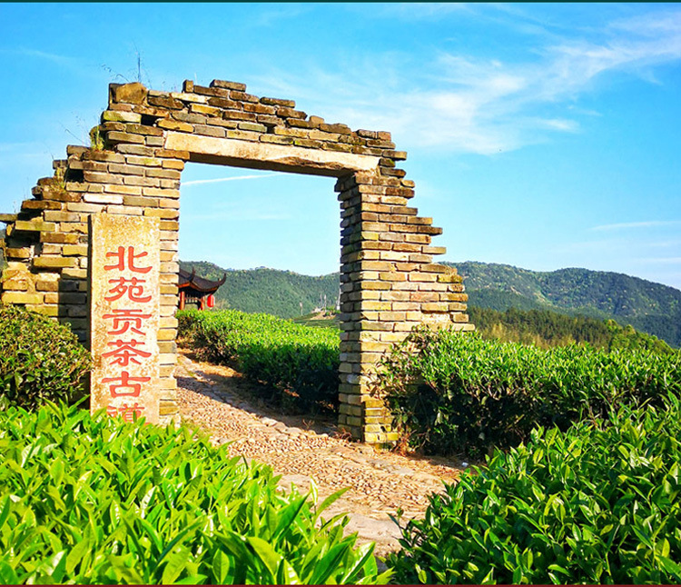 建瓯东峰北苑贡茶百年矮脚乌龙特级高档浓香型大红袍茶叶厂家批发