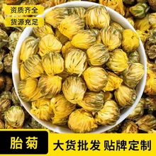 桐乡胎菊王菊花茶散装500g正宗胎菊新花大货批发花茶厂家罐装