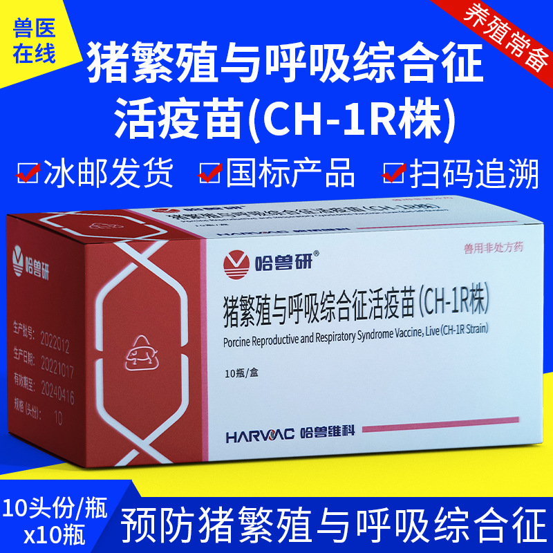猪用疫苗 蓝耳疫苗 哈兽研猪繁殖与呼吸综合征活疫苗 蓝耳病 兽药