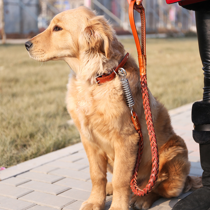 防爆冲宠物牵引绳中大型犬牛皮编制大狗牵引绳狗绳狗链金毛牵引带