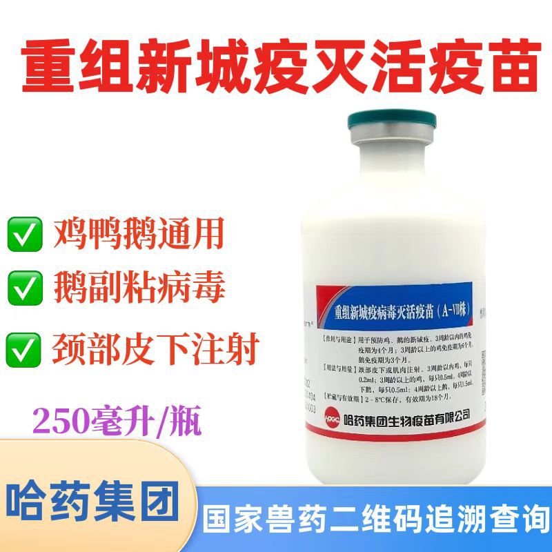 哈药鸡鸭鹅副粘病毒疫苗重组新城疫灭活疫苗250毫升/瓶新城疫疫苗