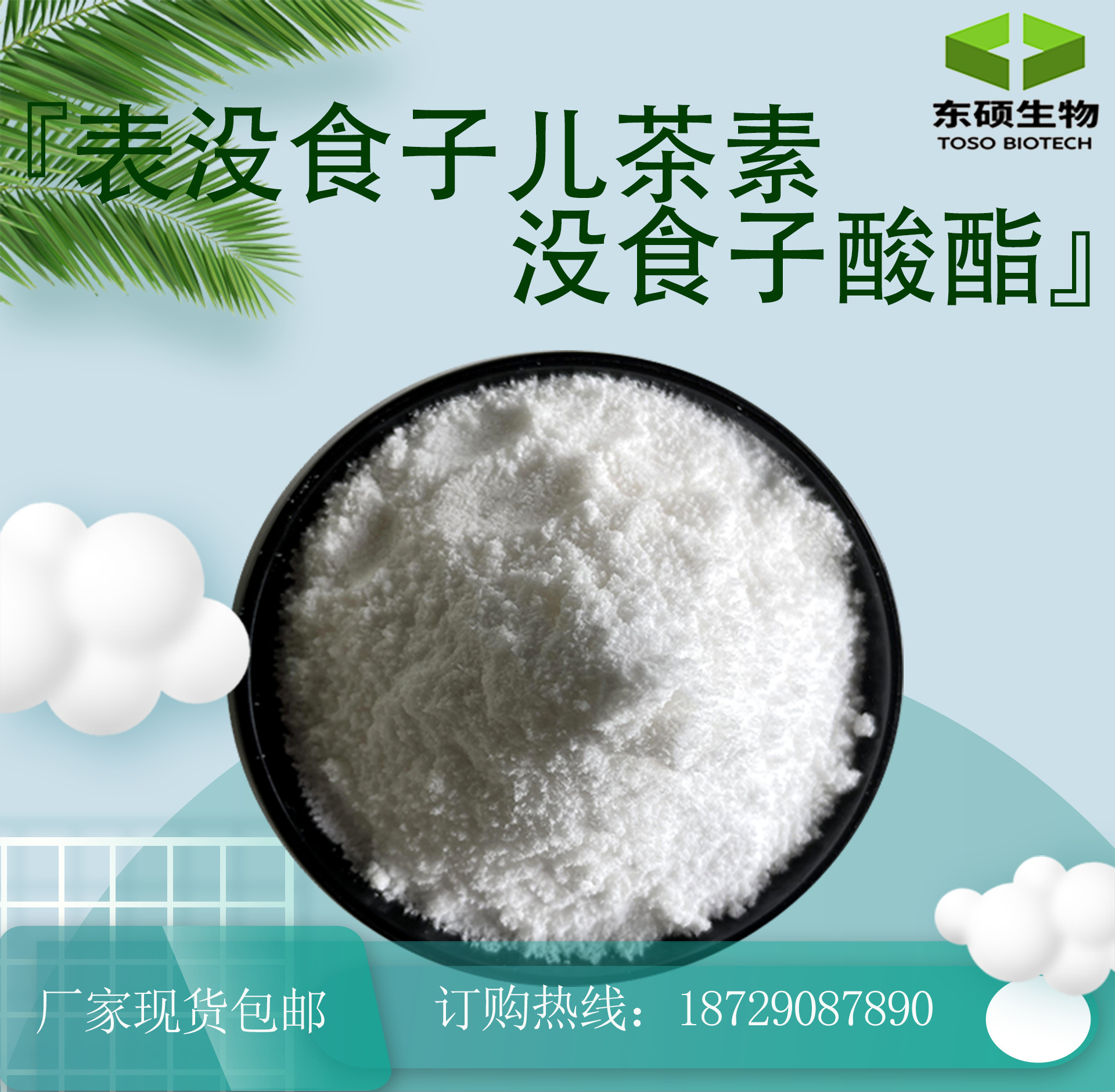 儿茶素粉