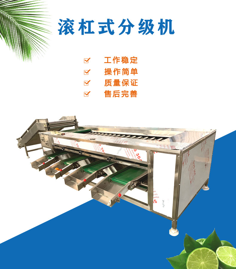 龙眼荔枝清洗分级机 西柚分级机 丑橘分级机 水果大小分级机厂家