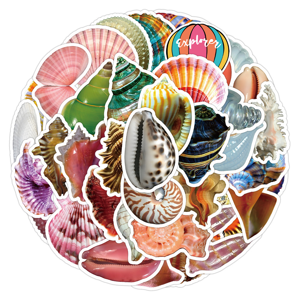 50张贝壳海螺可爱涂鸦贴纸装饰水杯笔记本收纳盒防水贴画批发手帐