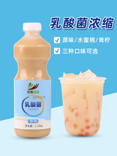 采集茶香2.3斤乳酸菌含乳饮料 酸奶风味优格益菌多饮品奶茶店原料