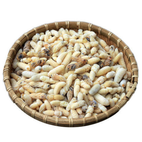 精选新鲜冰冻蜂蛹马蜂胡蜂地蜂虎头食用优质白蛹混装大个头野生货