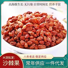 批发散装内蒙食用沙棘果 沙棘果干 大货批发 沙棘粉 药食同源沙棘