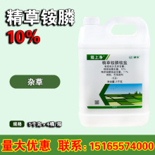 利尔草胺磷 10%精草铵膦磷铵盐荒地空地杂草除草农药除草剂 5kg