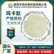 玛卡肽99% 玛卡提取物小分子肽宇洲生物玛卡低聚肽 500g/袋男性粉