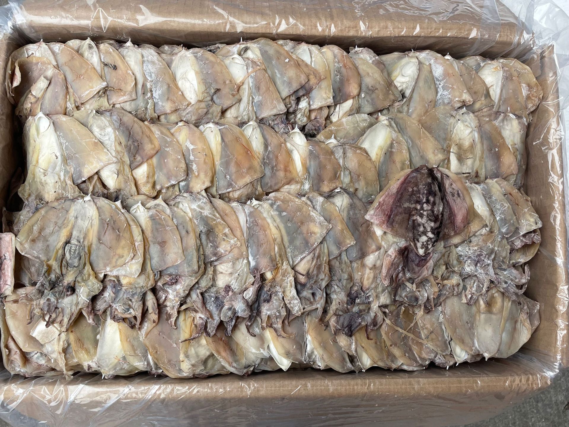 墨鱼干  小墨鱼规格25-30头  一件30斤海产干货