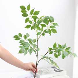 仿真植物幸福叶桑树叶香樟叶园林室内造景森系装饰盆栽绿植假树叶