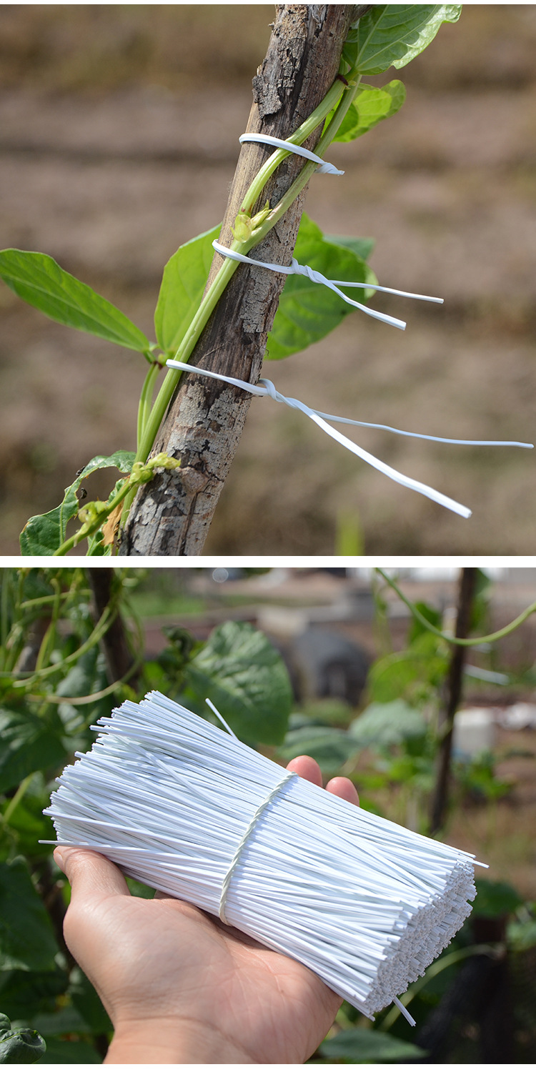 扎丝电镀锌铁包塑铁丝葡萄绑丝塑料电源线扎带捆扎绳