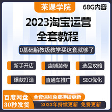 蓝海网店推广选品教程2023课程运营培训直通车开店视频电商