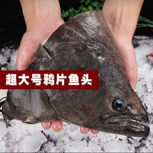 8斤装深海野生新鲜鲽鱼块去头去内脏宝宝辅食鲽鱼比目鱼冷冻速冻