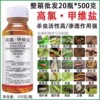 High chlorine Emamectin benzoate Pesticide Insecticidal Vegetables Fruit tree Borer Cypermethrin High chlorine Insecticide High chlorine Emamectin benzoate Pesticide Insecticidal Vegetables Fruit tree Borer Cypermethrin High chlorine Insecticide