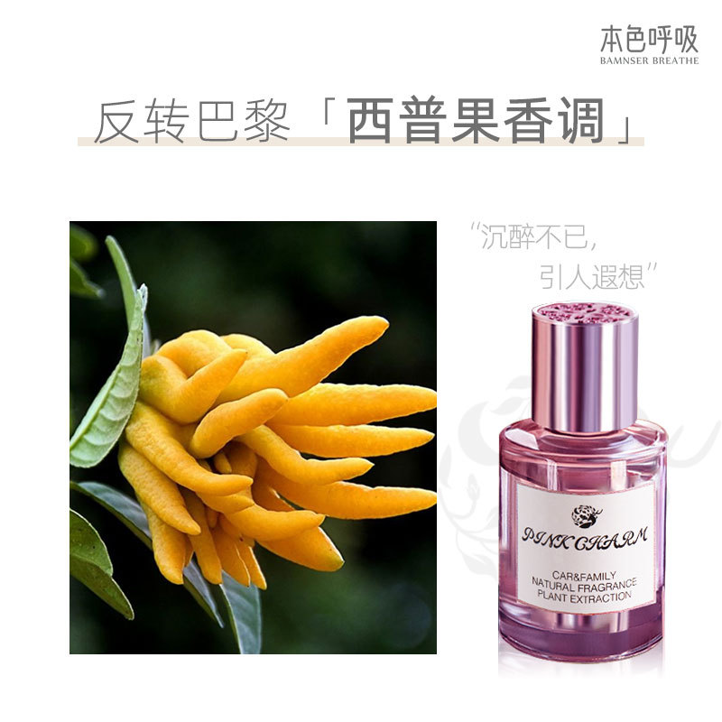 Deodorant Auto Perfume Aromatherapy Powder Charming Advanced Fragrance Long-Lasting Light Perfume Car Fragrance Available for Pregnant and Baby