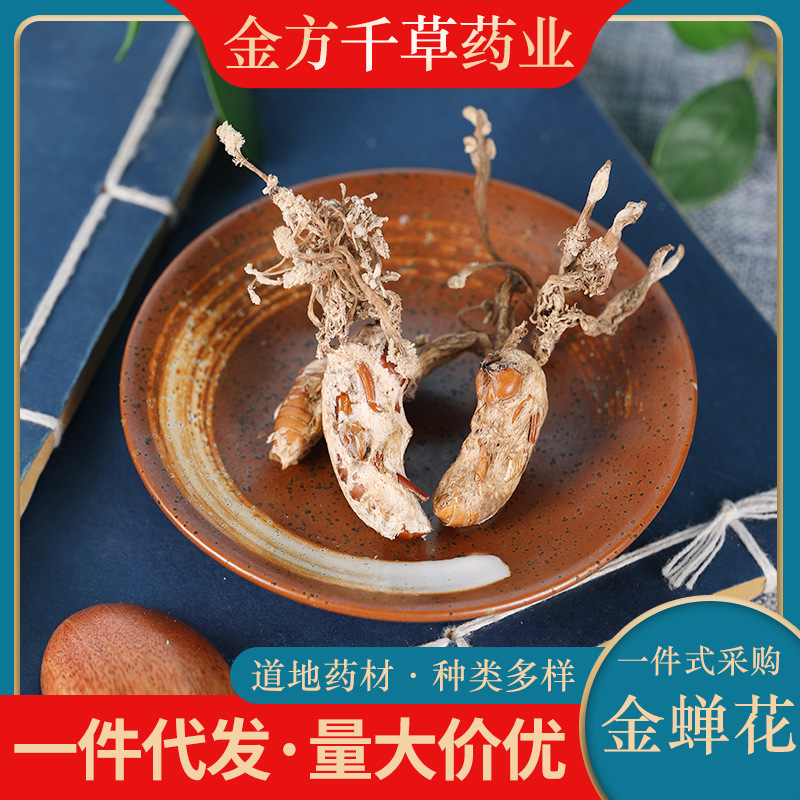 中药材批发野生金蝉花正品新货蝉花虫草花知了花婵花粉250克g