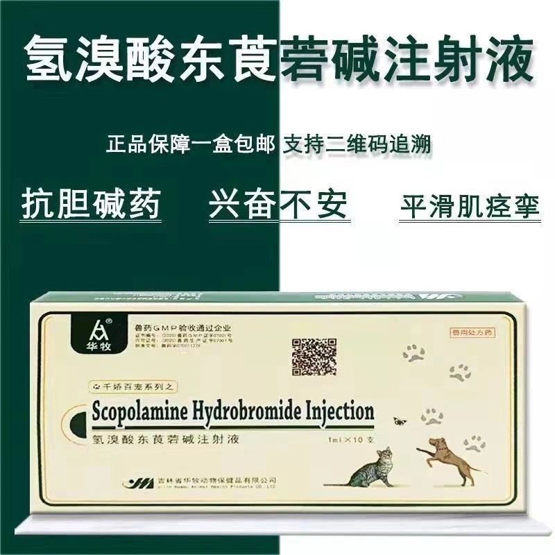 处方氢溴酸东莨菪碱注射液抗胆碱药兴奋不安平滑肌痉挛止吐止泻抑