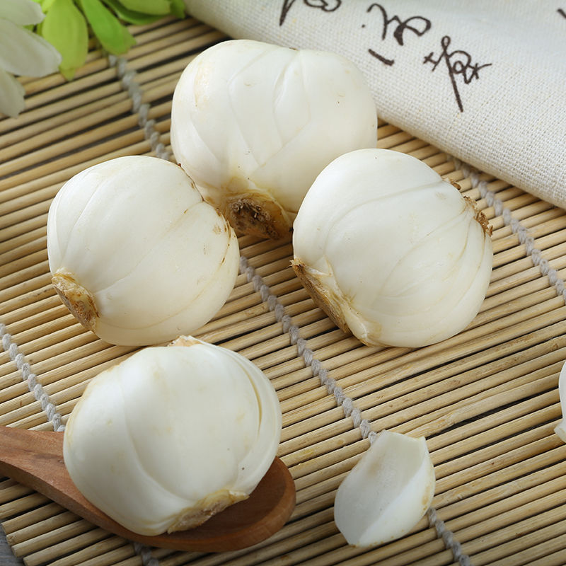 包邮兰州鲜百合新鲜百合兰州百合新鲜生百合甜百合新鲜百合甘肃特